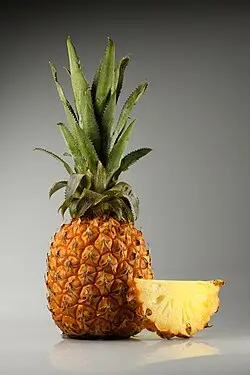PINEAPPLE  1PEICE